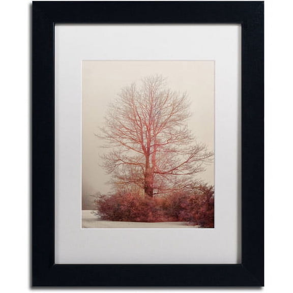 Trademark Fine Art "A-Blush in the Fog" Canvas Art by Lois Bryan, White Mat, Black Frame