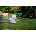 thumbnail image 2 of Scotts Turf Builder Engrais pour la pelouse et contrôleur de mousse 23-0-3 7.94kg /325m², 2 of 6