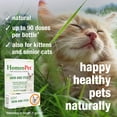 thumbnail image 4 of HomeoPet Feline SKIN AND ITCH Support Drops for Cats, 15 mL, 4 of 8