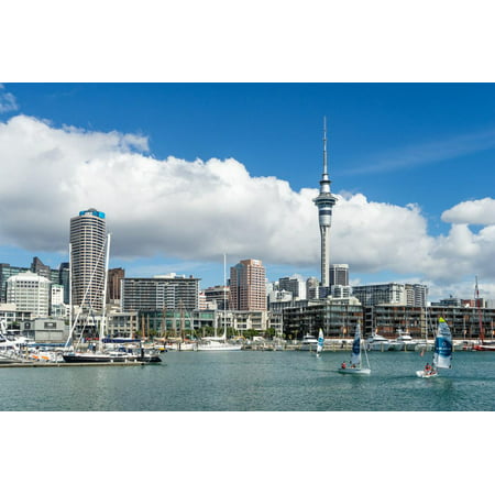 Small sailboats cruise in Auckland harbour in front of the city skyline, Auckland, New Zealand Print Wall Art By Logan