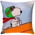 thumbnail image 1 of Housse de Coussin Carrée Confortable Housse de Coussin de Luxe pour Canapé Lit C-FL9720, 1 of 1