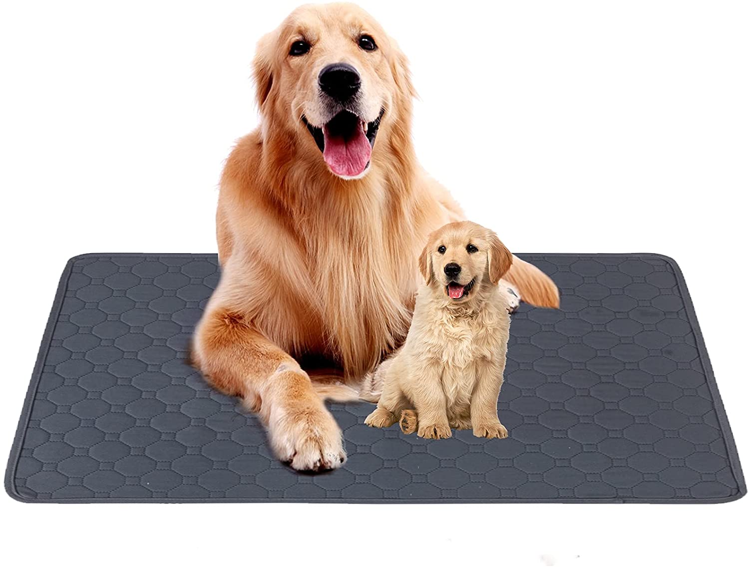 Tapis De Propret Lavables Pour Chiens Tapis D Entra nement 