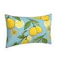 thumbnail image 2 of Fotbe Lemon Pillow Cases - Envelope Closure - Luxury, Extra Soft, Cooling Pillow Covers - Wrinkle, Fade, Stain Resistant-16"x24", 2 of 9