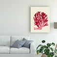 thumbnail image 3 of Trademark Fine Art 'Red Corals 1 a' Canvas Art by Fab Funky, 3 of 3