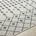 thumbnail image 6 of BoutiqueRugs Lali Bohemian, Transitional Runner Rug - Outdoor Safe - Off White, Charcoal, Medium Gray - 2'7" x 7'3" Runner, 6 of 6