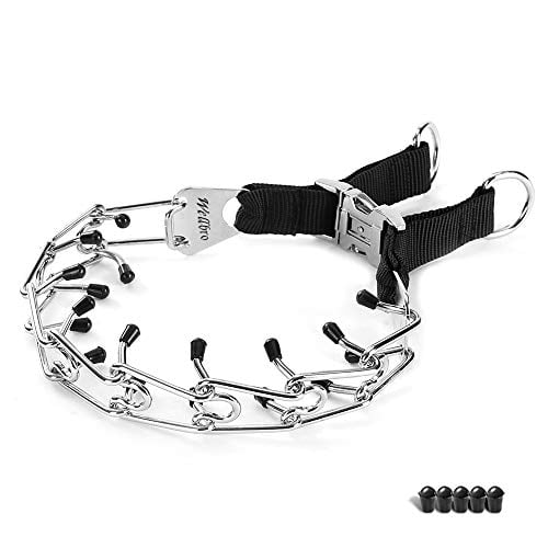 rubber prong dog collar