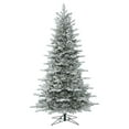 thumbnail image 1 of Frosted Eastern Frasier Fir Christmas Tree, 4.5 ft. x 33 in., 1 of 1