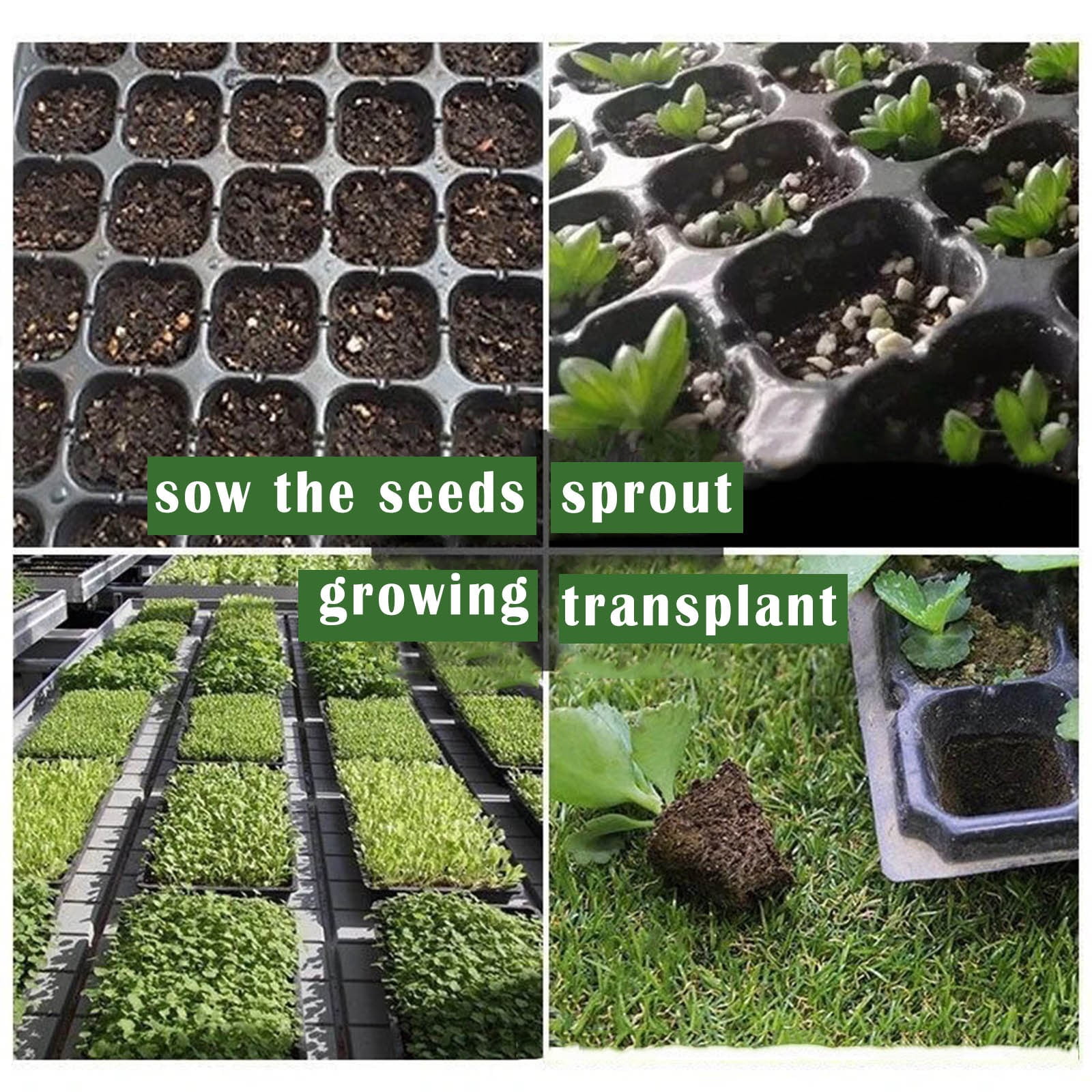 5 Pack 200 Cell Nursery Potting Trays, Plastic Seedling Starter Tray with No Drain Holes, Easy Watering Flat Garden Plant Growing Tray for Indoor Greenhouse Germination, 20.9'' x 10.6''