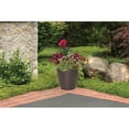 thumbnail image 4 of Suncast Chariton 16 Pouces Résine Ronde Jardinière Décorative Pot de Fleurs (2 Pack), 4 of 4