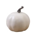thumbnail image 2 of Fall Decor Halloween Pumpkin Decorations White Blue Foam Artificial Pumpkin Pastel Autumn Harvest Tabletop Decor Farmhouse Cottagecore Tiered Tray Centerpiece for Thanksgiving (1PCS), 2 of 7