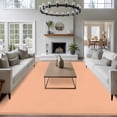 thumbnail image 4 of Peach Fuzz Large Area Rugs for Bedroom Living Room, Soft Non Slip Carpet Bedside Rug, Modern Pure Peach Fuzz Rectangular Floor Cover Kitchen Accent Rug 5'x7' for Dining Room/Office, 4 of 9