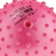 thumbnail image 3 of Juguete educativo de los favores de partido de la Bola hinchable de 6 pulgadas Rosado Sunnimix Bola animosa de Knobby, 3 of 6