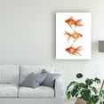 thumbnail image 3 of Trademark Fine Art 'Ornamental Goldfish III' Canvas Art by Emma Scarvey, 3 of 3
