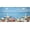 Ocean Starfish Blue, variant on Decorative Design Vanity License Plate, Decorative Car Tag, Aluminum, 4-Hole, 6 x 12 Inch