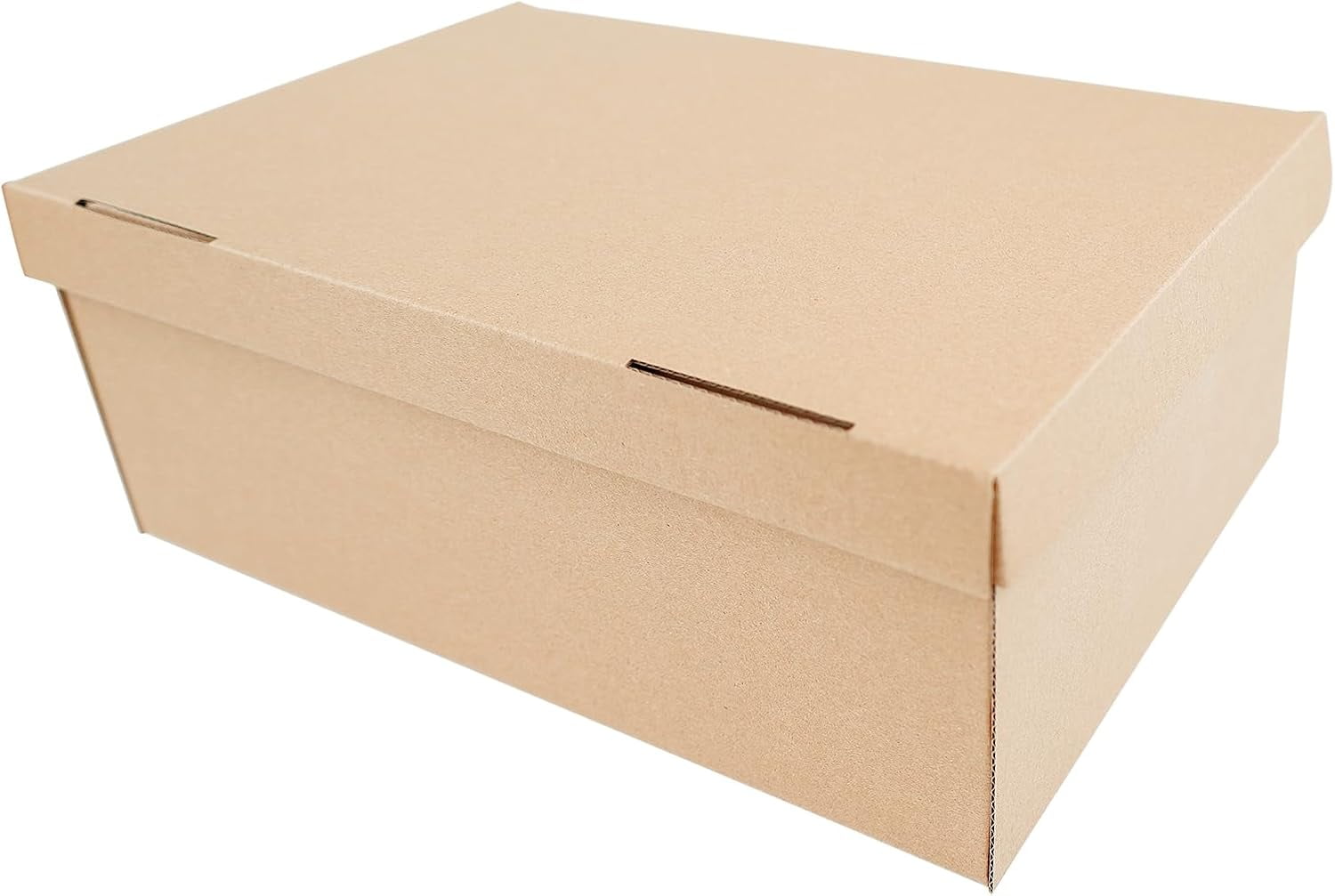 10 Pack Cardboard Shoe Boxes with Lid, 12.6x8.7x4.73", Multi-Purpose Storage Box for Home Office Organization Containers, Foldable Cardboard Carton, Gift Parcel (STRBOXONG