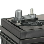 EverStart Maxx Marine Battery, Group Size 29DC 12 Volt, 845 CCA*