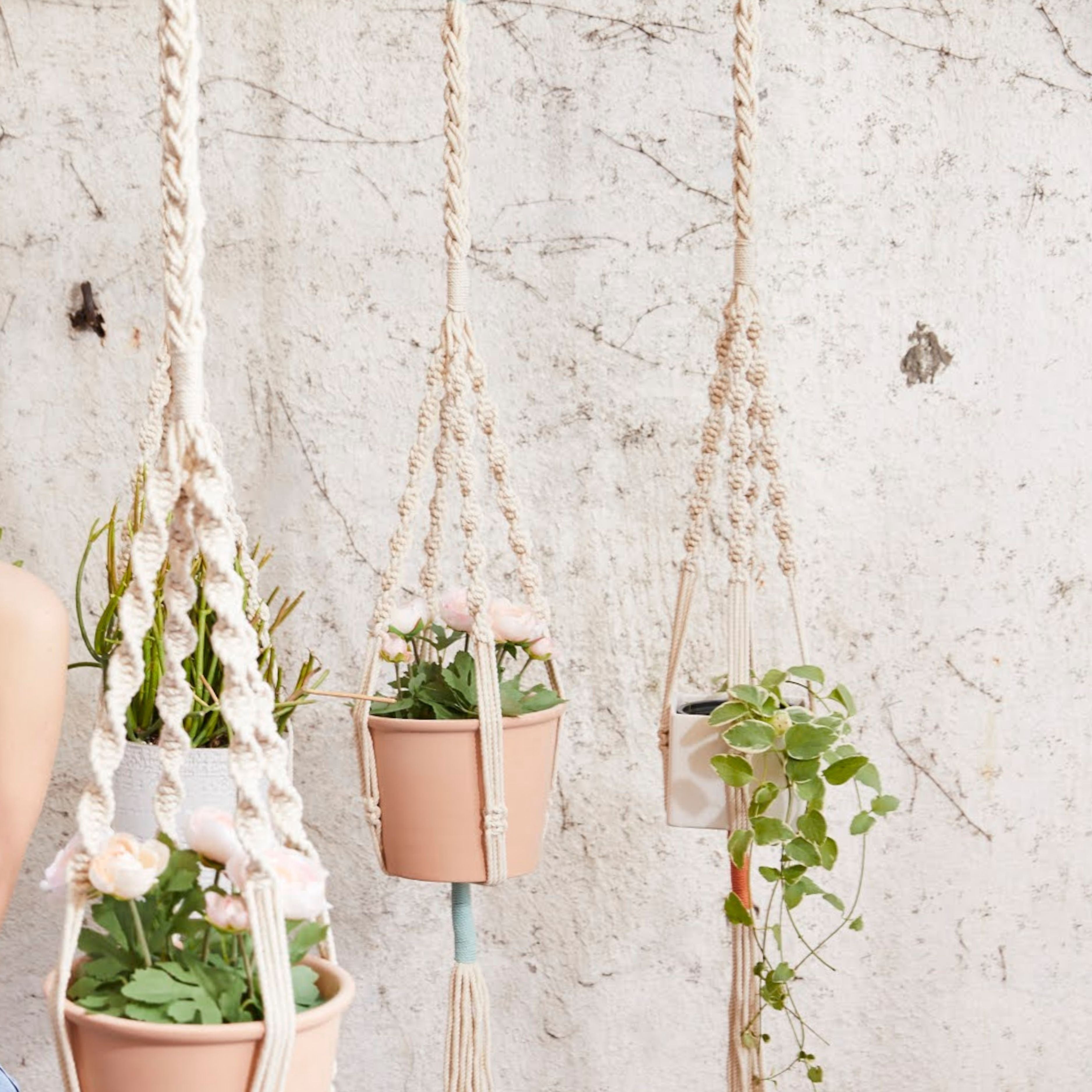 PILLOWPIA Trina Macrame Plant Hanger, Persimmon – 100% Cotton Rope, 55" Length, Holds Up to 10" Planter, 1-Pack Indoor/Outdoor Hanging Holder