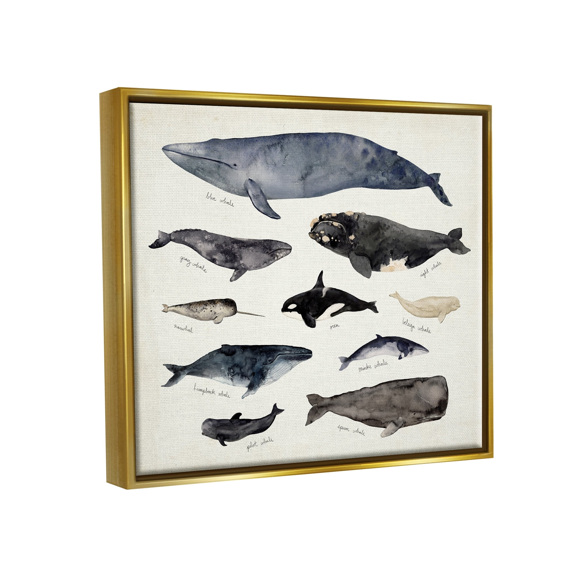 Stupell Industries Vintage Nautical Chart of Whales Ocean Life Metallic Gold Framed Floating Canvas Wall Art, 24x30, by Victoria Barnes