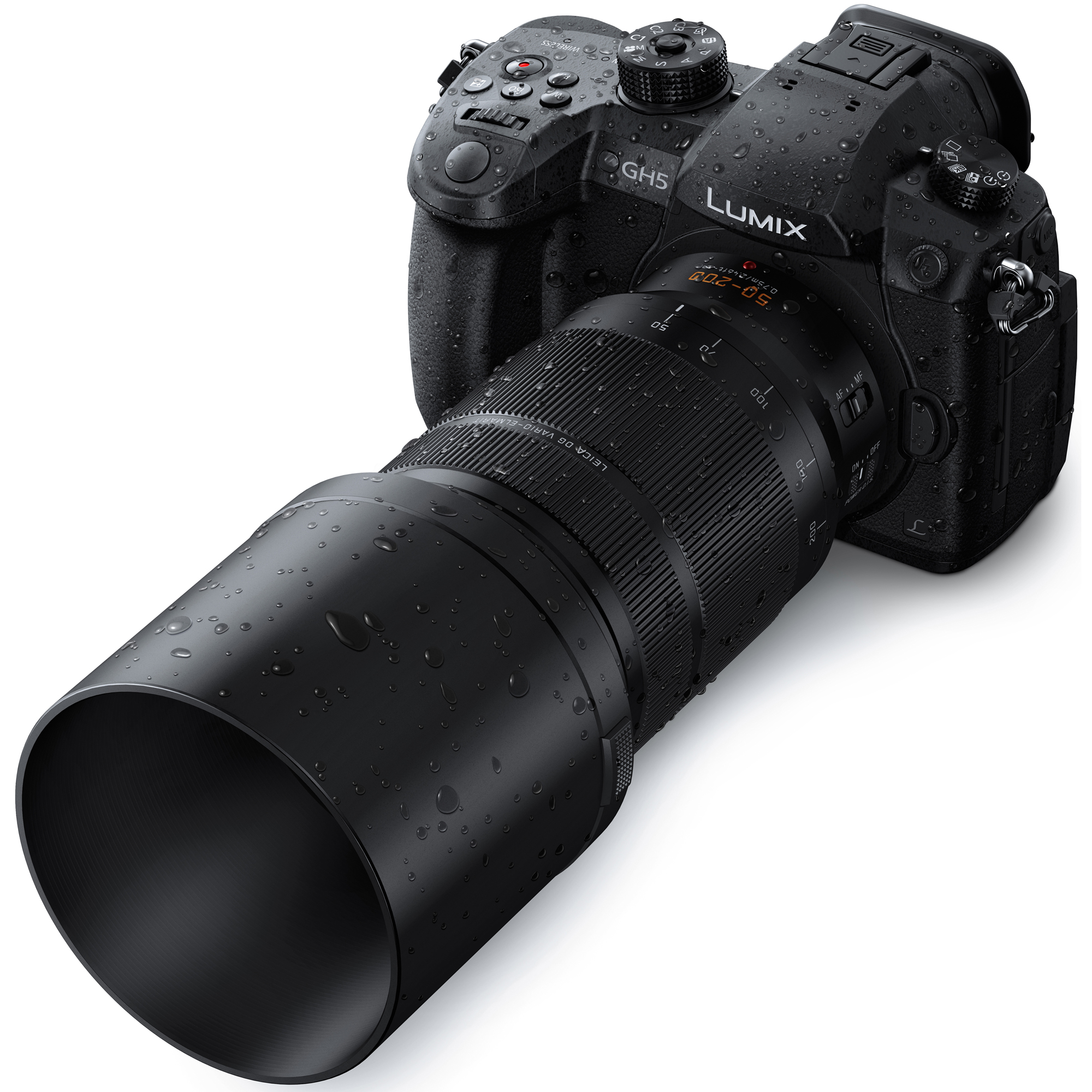 Panasonic 50-200mm f/2.8-4.0 Lumix G Leica DG Vario-Elmarit Power O.I.S. Lens H-ES50200 - image 5 of 11
