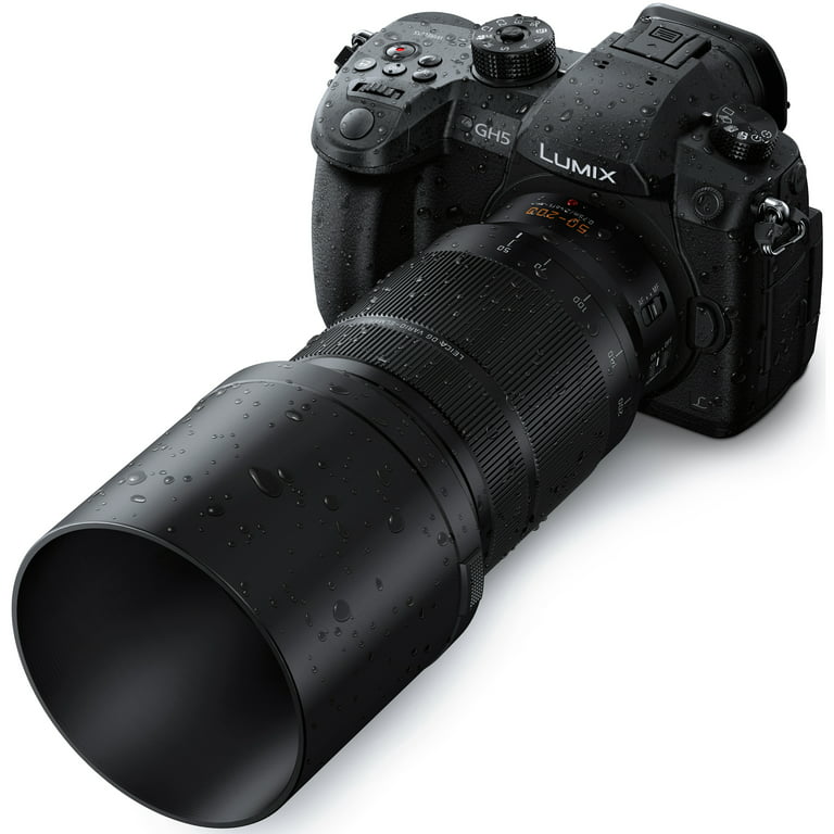 Panasonic 50-200mm f/2.8-4.0 Lumix G Leica DG Vario-Elmarit Power