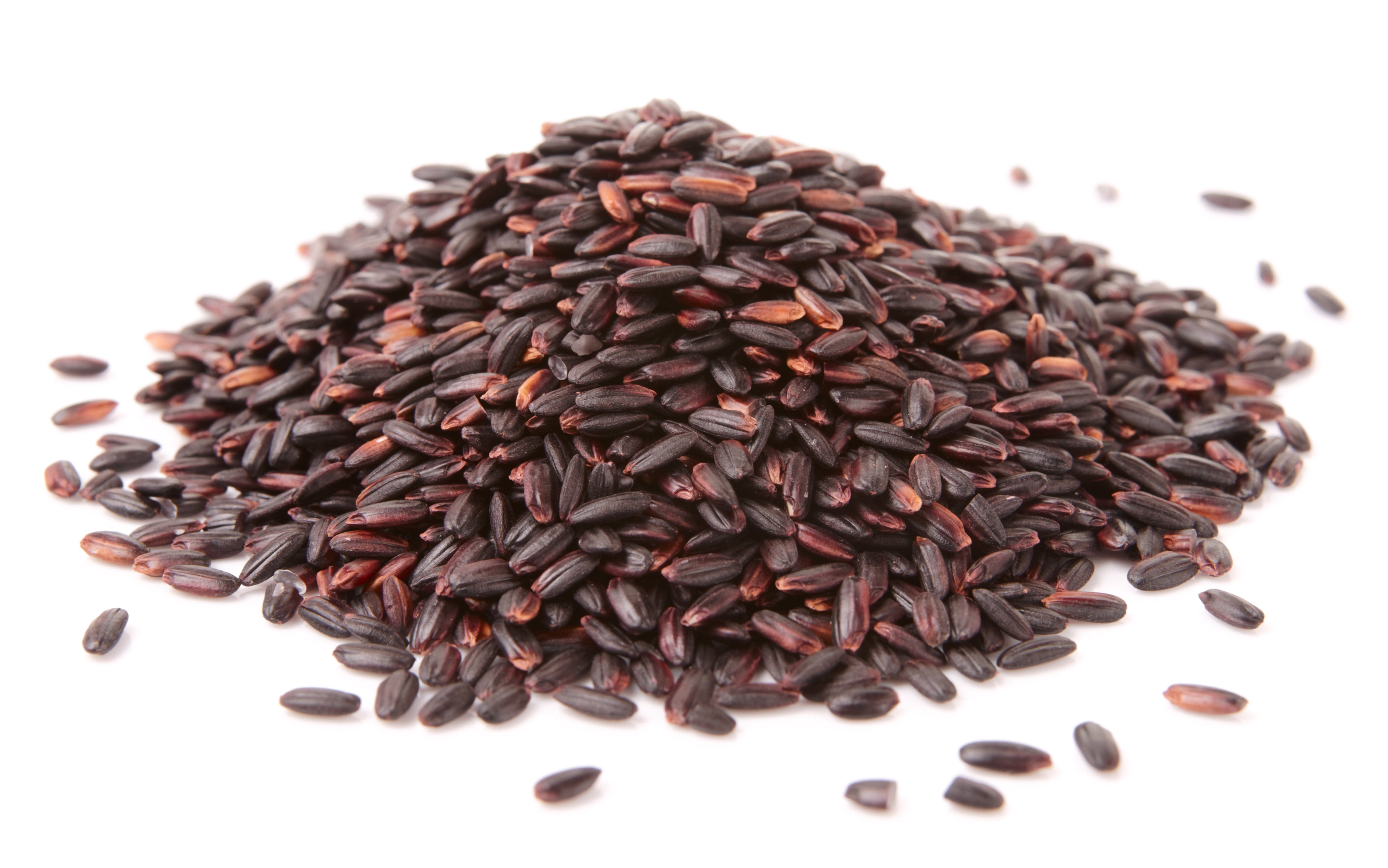 Rice, Black 25LB BAG, USDA Certified Organic & GMO Free, Sustainable Farming Practices-Mountain High Organics