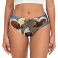 thumbnail image 1 of Fotbe Daisy Meadow Cow Calzones Estampados para Mujer – Ropa Interior de Algodón, Cómoda, Suave y Elástica-Small, 1 of 6