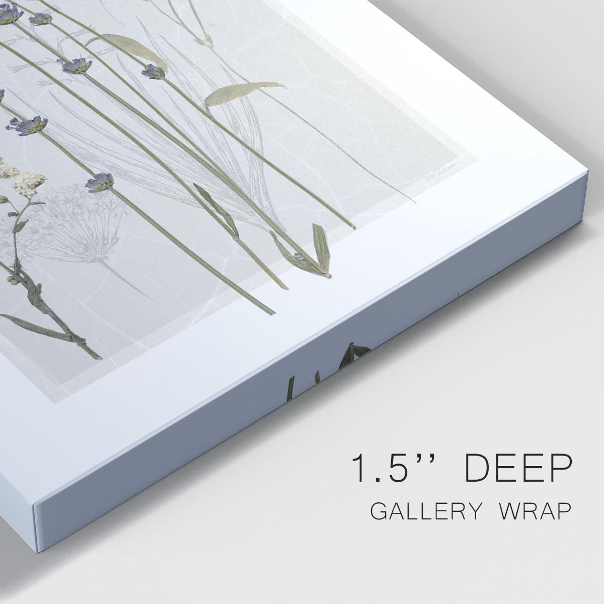 Field Study Page I Premium Gallery Wrapped Canvas - Ready to Hang