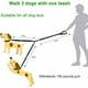 thumbnail image 4 of Correa Doble Para Perros, Correa Giratoria 360 ° Sin Enredos, 4 of 6