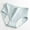 Blue, variant on Leakproof Ladies Underwear - Leakproof Panties for Over 60#s Incontinence