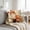 Multicolor328, variant on Tuvgenk Indoors Throw Pillow Covers Polyester 18x18 In Pillowcases Rabbit Decor Multicolor for Couch