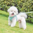 thumbnail image 3 of CBFFDC Pet Chest Strap Pet Harness Buckle Adjustment Mesh Design Breathable Reflective Walking Soft Escape Proof Puppy Chest Strap Pet Supplies 1 Set, 3 of 7