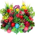 thumbnail image 1 of Plantas Suculentas Artificiales WILLBOND 50 Piezas Surtidas, 1 of 6
