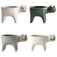 thumbnail image 1 of Maceta de Cerámica para Cactus 4 Piezas Sunnimix Decoración Verde y Blanco, 1 of 8