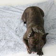 thumbnail image 3 of Transemion Lightweight And Easy To Carry Soft Warm Pet Mat For Small Pets Easy To Clean Kitten Throw Blanket light grey M 1Set, 3 of 6