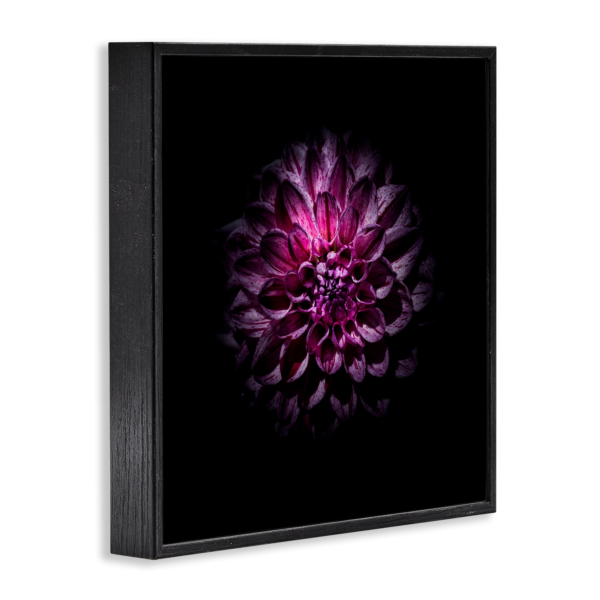 Purple Dahlia Dark Contemporary Black Framed Giclee Art, design by Brian Carson Photography