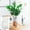 🔥 Clear, variant on Msgweeeg Transparent Hydroponic Plantsers Philodendron Moneywort Glass-Look Vase Plastic Home Decor Accent Natural Indoor Water Plants Growing Solution Modern