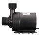 thumbnail image 3 of Hugtrwg Bomba Sumergible DC 12V/24V Bomba Eyectora 5.5 para Fuente Jardín(24v), 3 of 9