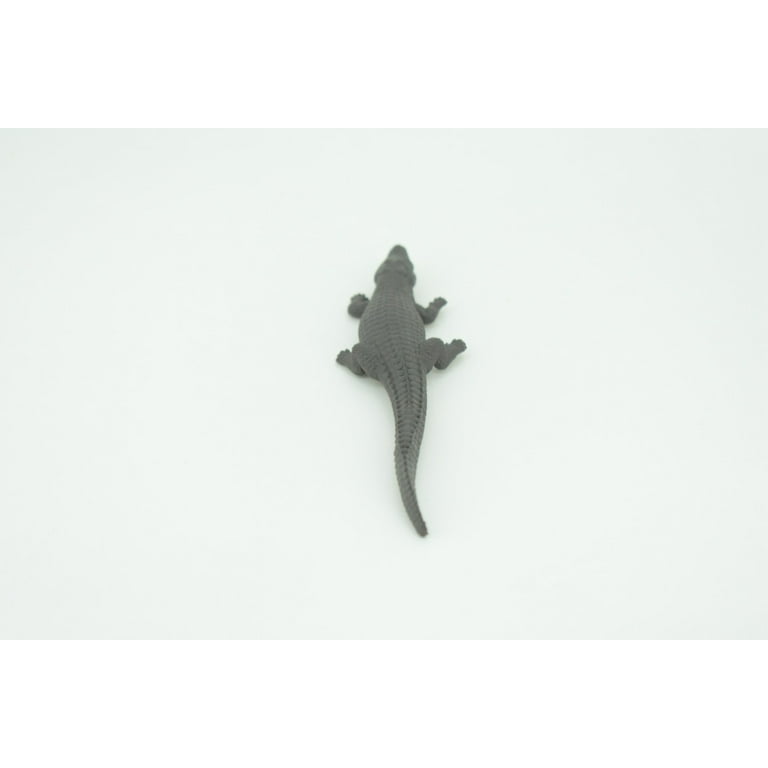 Black Caiman, Melanosuchus niger, Orinoco Crocodile, Educational