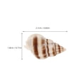 thumbnail image 3 of 1 caja de mini conchas marinas naturales, conchas de almeja para manualidades, conchas marinas decorativas, adornos de conchas naturales para decoraciones de acuarios y rellenos de jarrones, 3 of 7