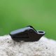 thumbnail image 5 of Outdoor Camping Clips Anti-drop Windproof Tent Clamp for Parks, 5 of 5