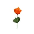 thumbnail image 2 of Efavormart 84 Artificial Open Roses for DIY Wedding Bouquets Centerpieces Arrangements Party Home Wholesale Supplies - Orange, 2 of 6