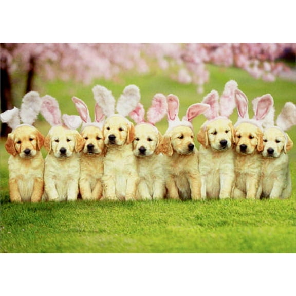 Avanti Press Row Of Puppy Bunnies Dog Easter Card