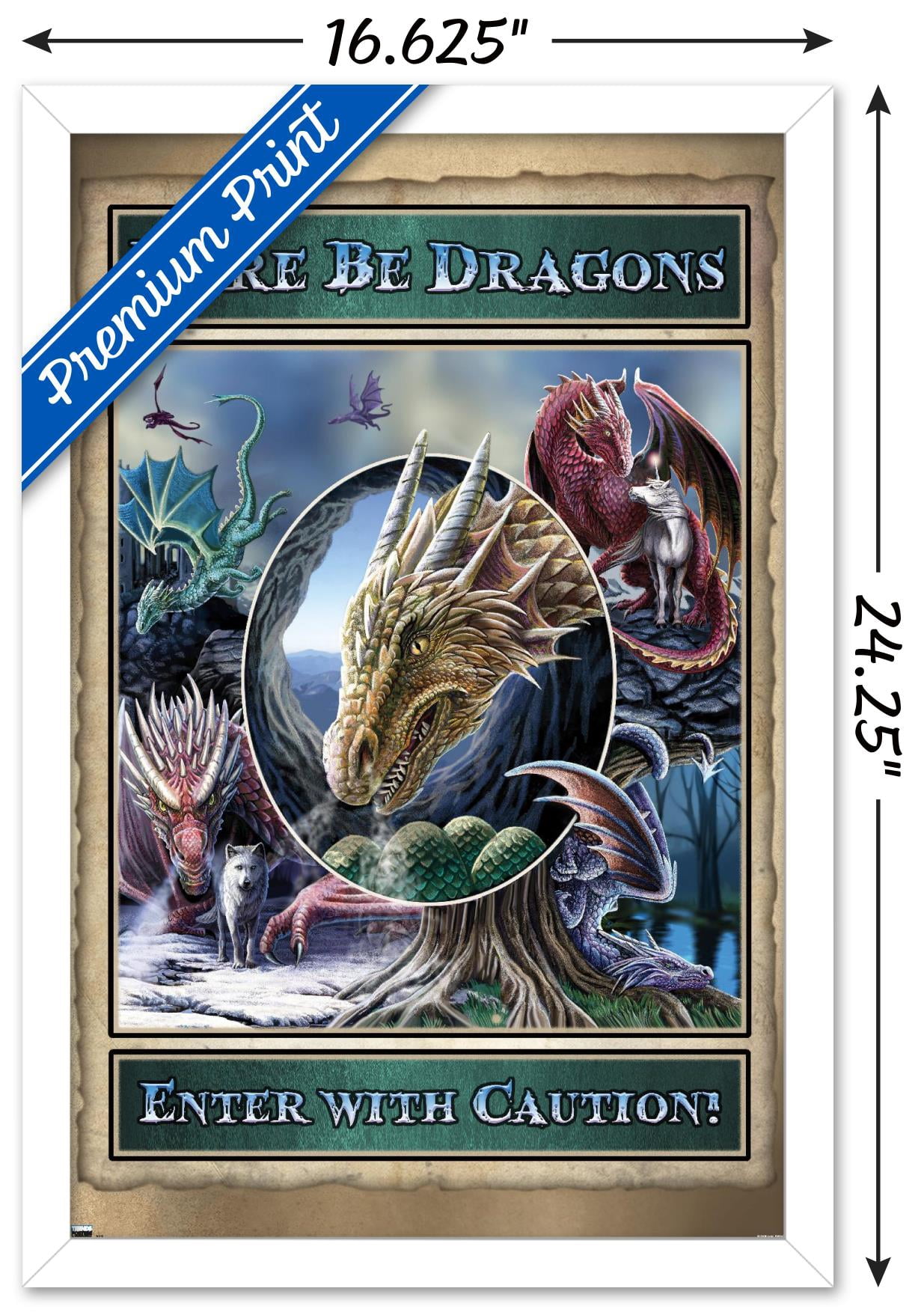Lisa Parker - Here Be Dragons Wall Poster, 14.725" x 22.375", Framed