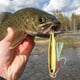 thumbnail image 3 of Señuelo Pesca 7 G Aleación Zinc 4 5 Cm Señuelo Pesca Duro Aparejos Pesca (estilo B), 3 of 6