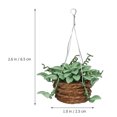 thumbnail image 4 of KAKOWELY 3 piezas de adornos en miniatura para muebles de casa pequeña, decoración de plantas de resina., 4 of 5