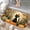 Halloween Black Cat in Forest, variant on 1pc Black Cat Ghost and Pumpkin Absorbent Non-Slip Bathroom Thickened Flannel Rug Decor,Soft,Quick Drying,Suitable For Indoor/outdoor Use,Bathrooms,Bedrooms,Kitchens,Terrace,Laundry Rooms,16"x24"