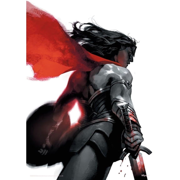 DC Comcs (Wonder Woman - Negative Space) MightyPrint™ Wall Art