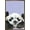 Bronze Framed Version, variant on Snowtap - Panda Photobomb Wall Poster, 14.725" x 22.375"