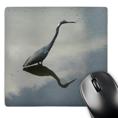 3dRose  Blue Heron Reflects  MousePad price history on PriceWatchPro