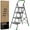 Black Green, variant on Foldable Step Ladder Stool - 600Lbs Heavy Duty Tall 4-Step Extension Ladder with Handrails for Home Adults, Ideal for Kitchen & Indoor Closet Use - Extendable Stepping Stool for Indoor Households